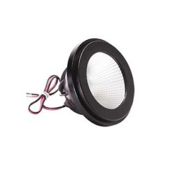 Module LED, DIM-TO-WARM, QPAR111, 20°, 2000K-2800K, noir, 1000lm