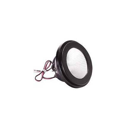 Module LED, DIM-TO-WARM, QPAR111, 20°, 2000K-2800K, noir, 1000lm