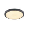 Plafonnier AINOS, rond, anthracite, LED 3000K, avec detecteur