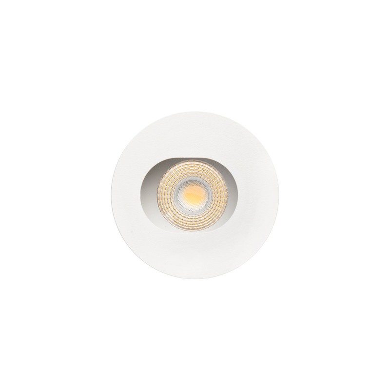 Hale 10W Ø91 36º IP40
