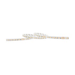Bande LED Dim to Warm (1900-3000)K 168LED 10mm 24V IP20(5m)
