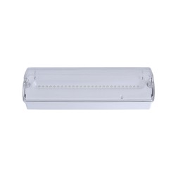 Luminaire de Secours PowerLux P/NP 3h 500lm IP65 Selftest 6000K IK10