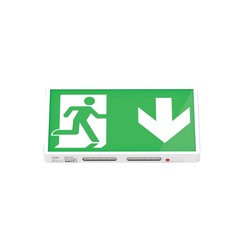 Luminaire de Secours DUOLUX P/NP 3h 40-70 Lm IP20