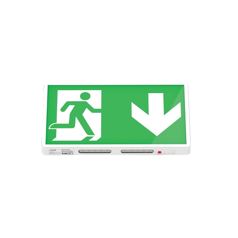 Luminaire de Secours DUOLUX P/NP 3h 40-70 Lm IP20