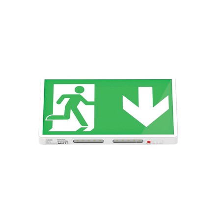 Luminaire de Secours DUOLUX P/NP 3h 40-70 Lm IP20