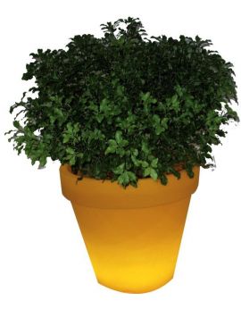 Décoration